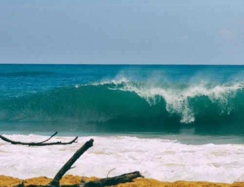 Bocas del Toro